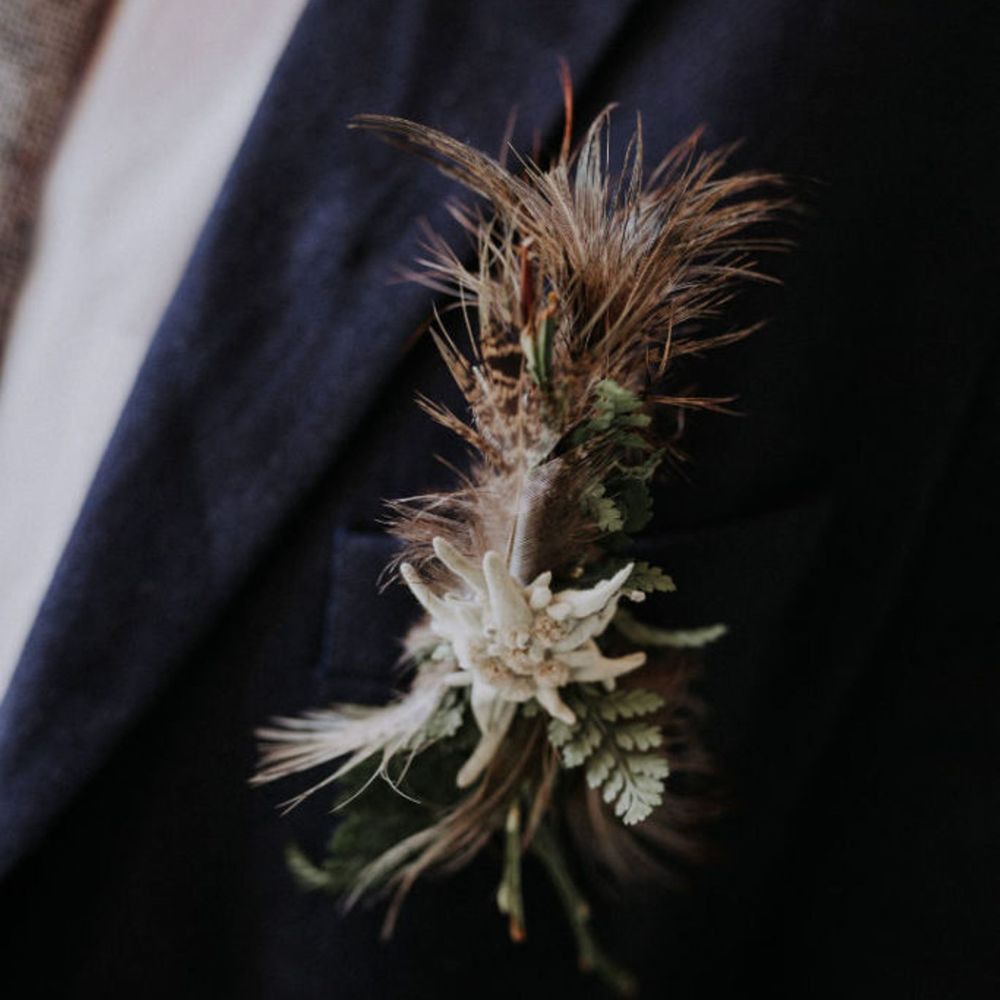 Ärmel,Hemd,Landpflanze,Kragen,Pflanze,Blazer,Zweig,Blühende Pflanze,Blume,Formelle Kleidung,