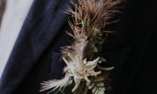 Ärmel,Hemd,Landpflanze,Kragen,Pflanze,Blazer,Zweig,Blühende Pflanze,Blume,Formelle Kleidung,