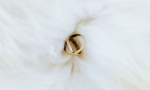 JuliaEileen_DoloElopement-17-w1100-h1100