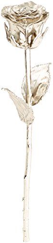 St. Leonhard Geschenk Damen: Echte Rose für immer schön, mit 18-karätigem* Platin veredelt, 28 cm (Schmuck-Rose)