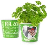 Facepot Petersilienhochzeit Geschenk Blumentopf (ø16cm) | Deko Geschenke zum 12,5 Hochzeitstag mit Herz-Rahmen für EIN Foto (10x15cm) | Glücklich verheiratet - 12,5 Jahre