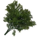 Ogquaton Künstliche Plastikblume lässt Niederlassung lebensechte Petersilie-Blumenhauptdekorations-Foto-Props praktisch und populär
