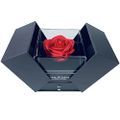Handgemachte konservierte Rose Geschenkbox mit Forever Seife Rose und Liebe Sie Hals kette in 100 Sprachen, verzauberte Blume Geschenk für Freundin Mutter Frau am Jahrestag Valentinstag Muttertag