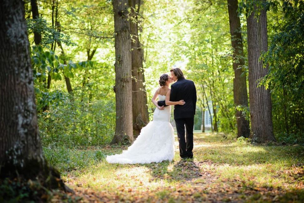 Kleidung,Hochzeitskleid,Pflanze,Braut,Kleid,Menschen in der Natur,Baum,Blitzlichtfotografie,Glücklich,Brautkleidung,