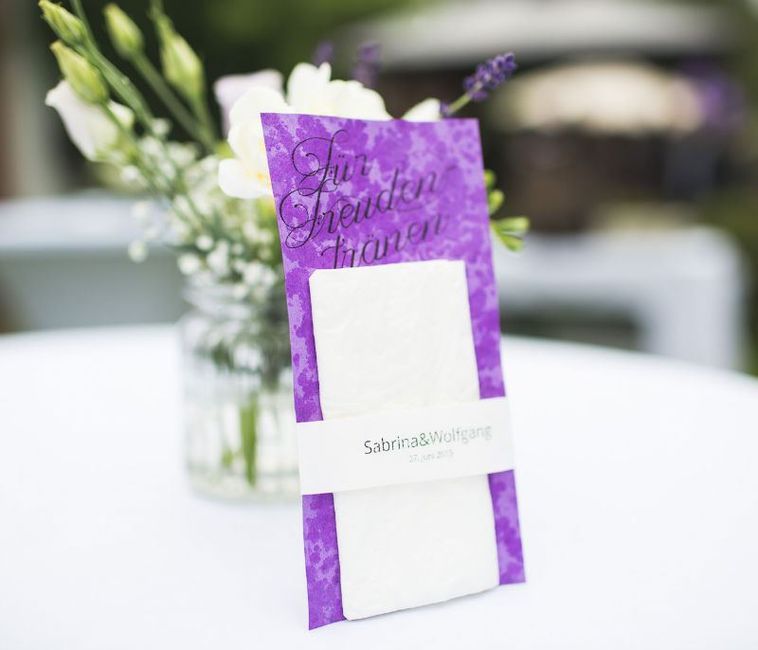 044-20150627_Hochzeit_Meixner_AA0A3979