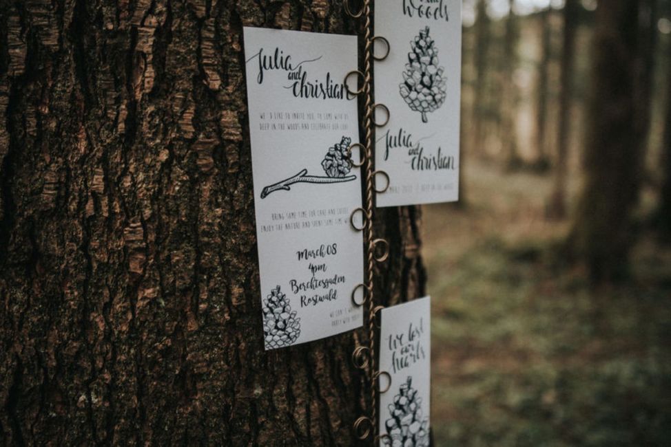 Handschrift, Holz, Zweig, Pflanze, Stamm, Schrift, Baum, Gras, Zweig, Landschaft,