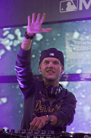 avicii prinz carl philip