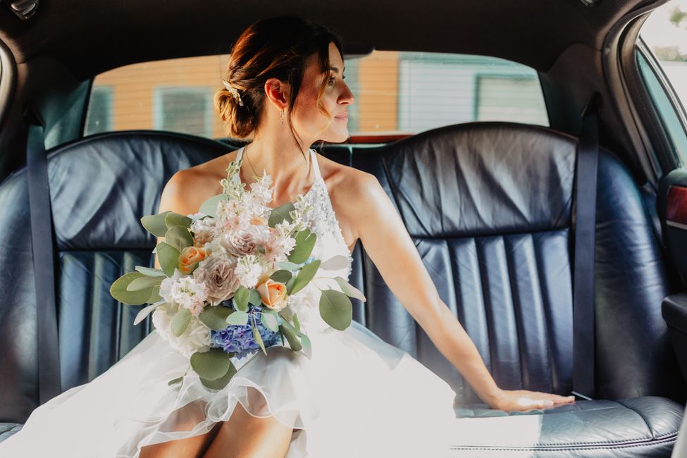 Landfahrzeug, Blume, Auto, Schulter, Fahrzeug, Weiß, Kleid, Automobildesign, Blitzlichtfotografie, Pflanze,