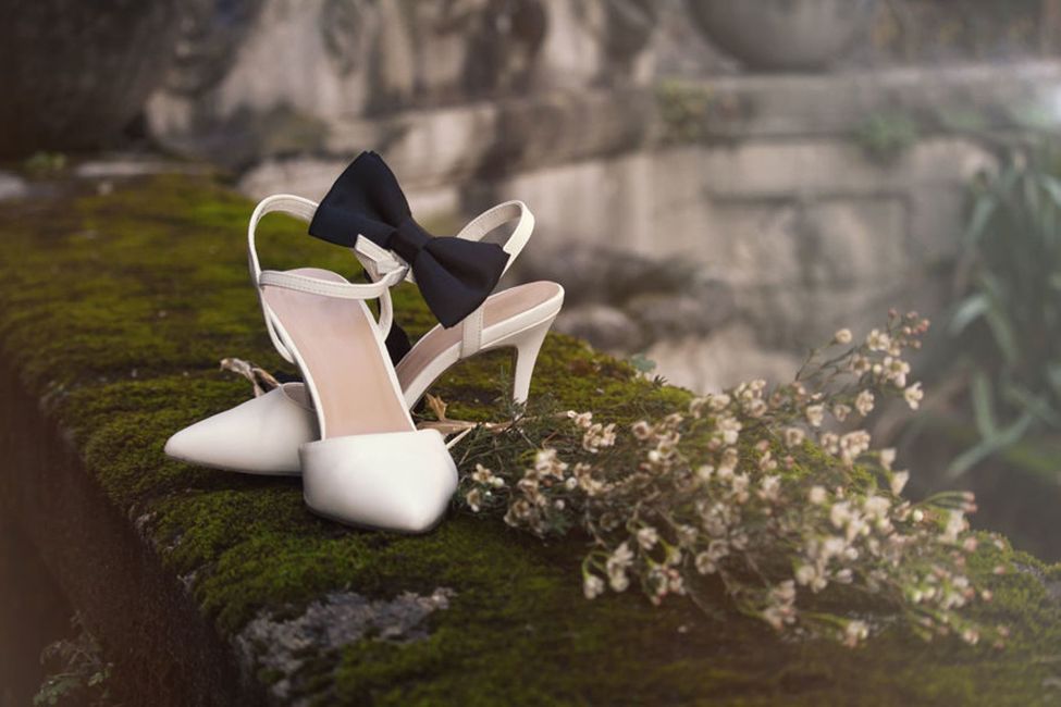 Pflanze, Blume, Spielzeug, Kleid, Blütenblatt, Blitzlichtfotografie, Holz, Gras, Landschaft, Flügel,