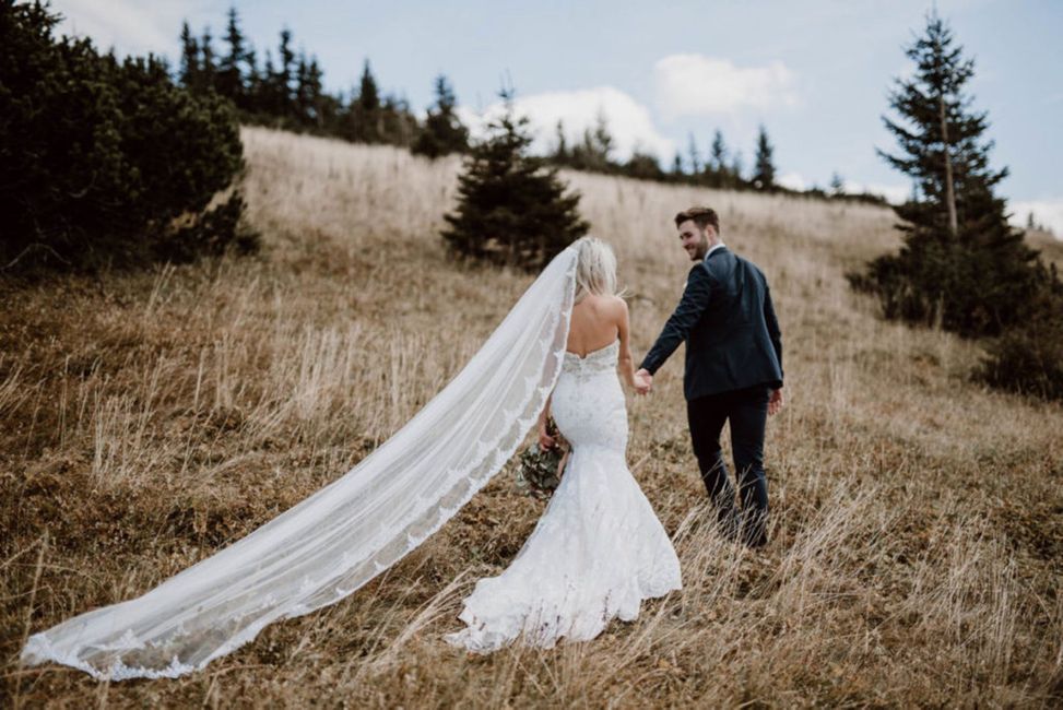 Wolke, Pflanze, Himmel, Hochzeitskleid, Braut, Menschen in der Natur, Kleid, Baum, Brautkleidung, Brautschleier,