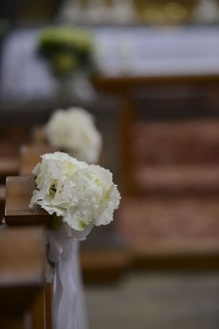 DSC_8273