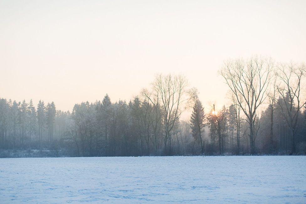 Wasser, Himmel, Atmosphäre, Baum, Naturlandschaft, Zweig, See, Holz, Sonnenlicht, Wolke,