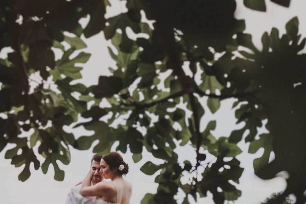 Fotografie,Hochzeitskleid,Braut,Himmel,Menschen in der Natur,Blitzlichtfotografie,Ast,Geste,Glücklich,Baum,