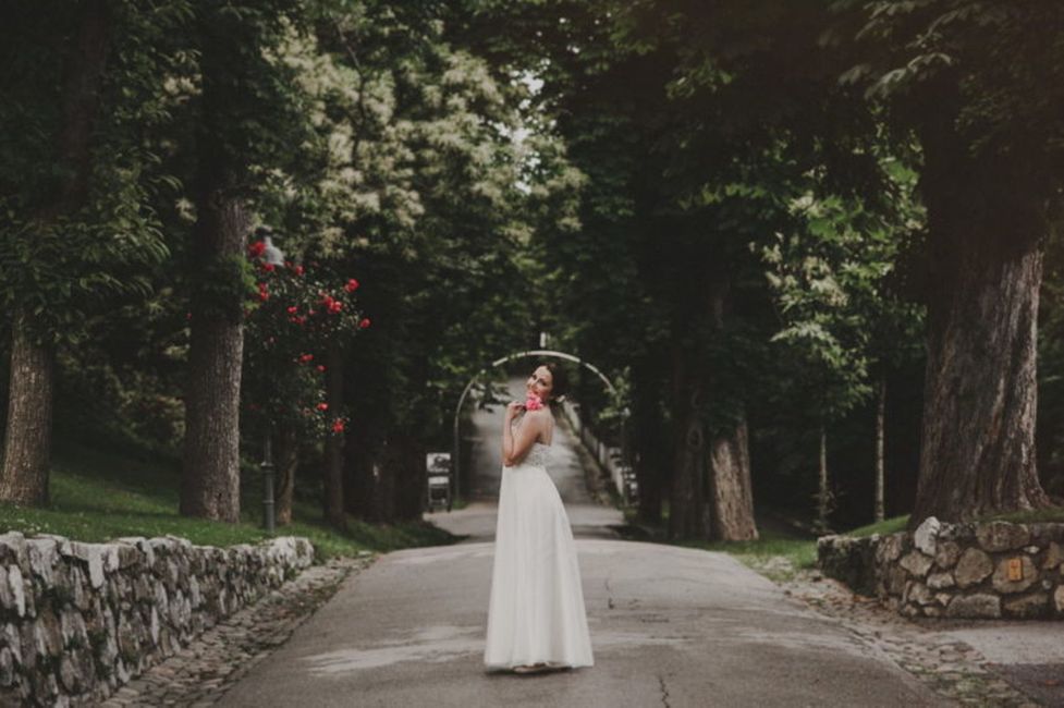 Haare,Pflanze,Hochzeitskleid,Oberbekleidung,Frisur,Braut,Schulter,Kleid,Brautkleider,Menschen in der Natur,