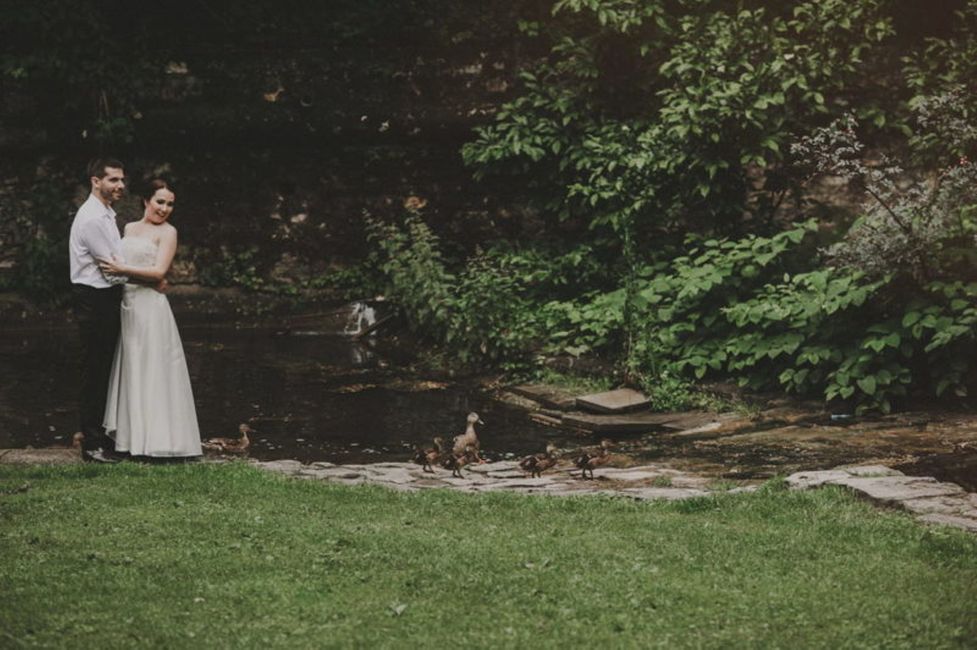 Pflanze,Hochzeitskleid,Braut,Kleid,Blitzlichtfotografie,Brautkleidung,Geste,Menschen in der Natur,Glücklich,Gras,