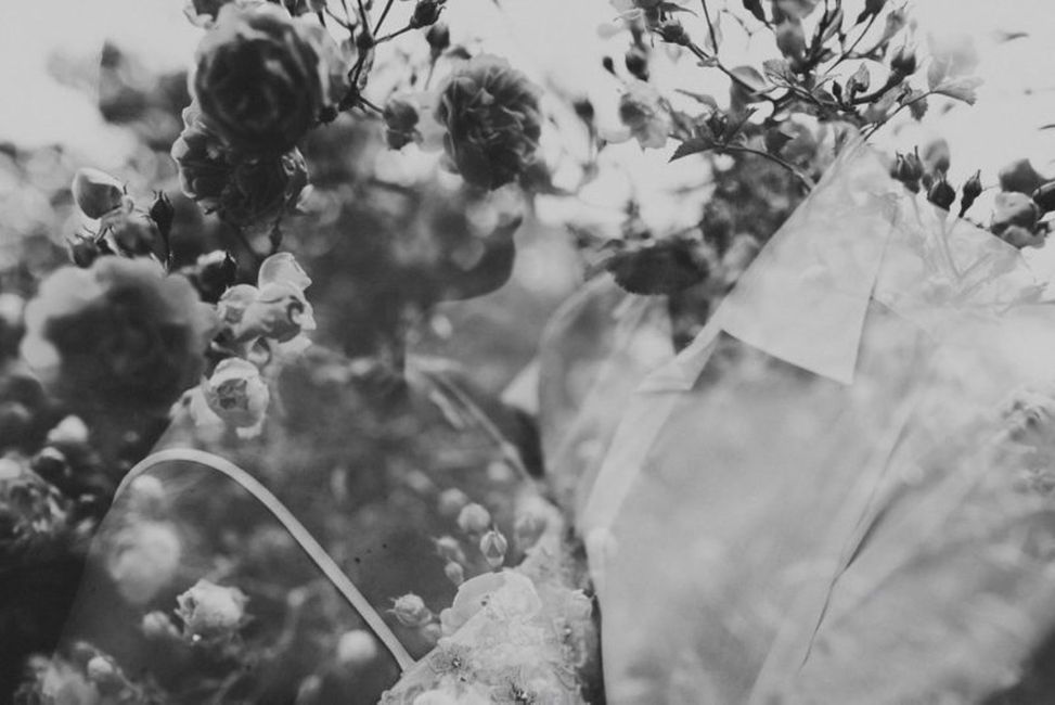 Pflanze,Blütenblatt,Schwarz-Weiß,Vegetation,Stil,Zweig,Gefrieren,Gras,Monochrom,Monochrom-Fotografie,