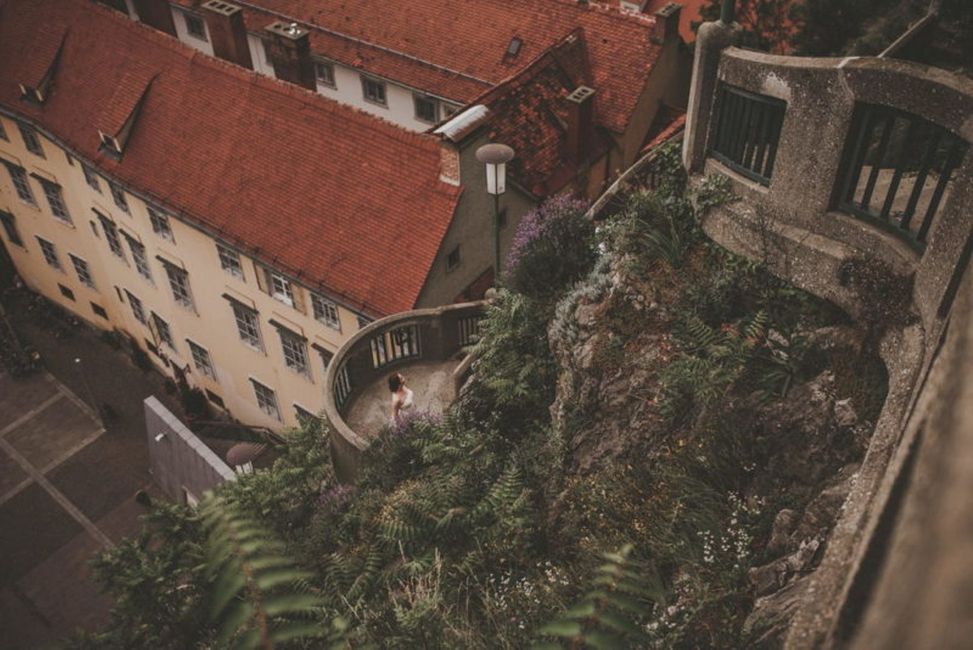 Fenster,Gebäude,Welt,Natur,Holz,Pflanze,Städtebau,Biome,Haus,Nachbarschaft,