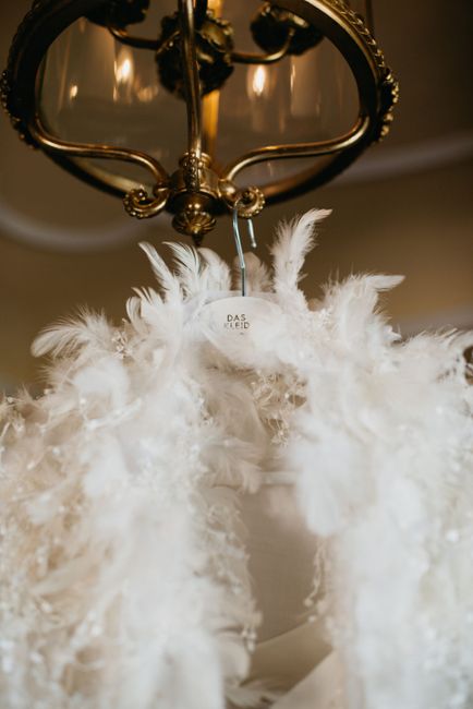 Licht,Beleuchtung,Lampe,Kopfbedeckung,Feder,Ornament,Schmuck,Kronleuchter,Modedesign,Event,
