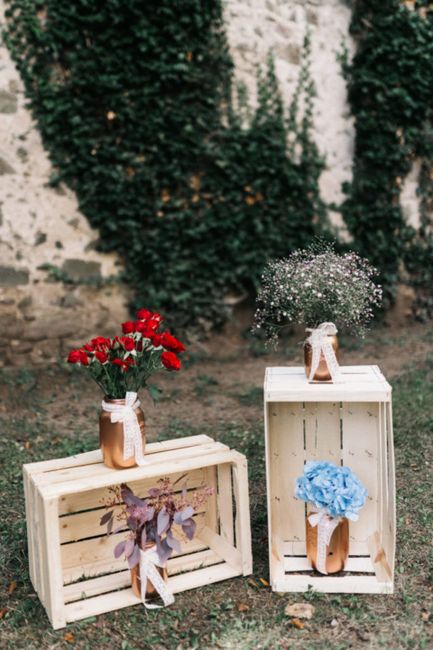 Pflanze,Blume,Foto,Tisch,Blumentopf,Blatt,Natur,Holz,Botanik,Rechteck,