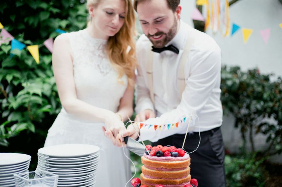 Essen,Foto,Weiß,Grün,Geschirr,Pflanze,Brautkleidung,Torte,Glücklich,Teller,