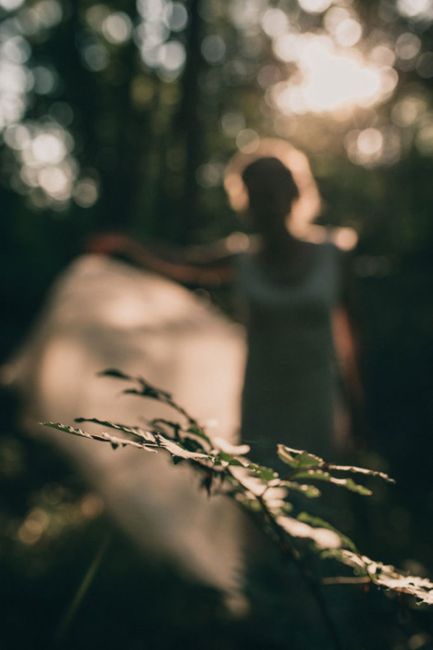 Atmosphäre,Menschen in der Natur,Blatt,Natürliche Umgebung,Ast,Blitzlichtfotografie,Holz,Pflanze,Zweig,Sonnenlicht,