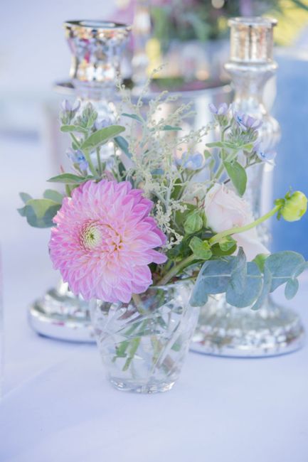Blume,Vase,Trinkgeschirr,Blütenblatt,Lila,Botanik,Pflanze,Blumenarrangement,Geschirr,Aqua,