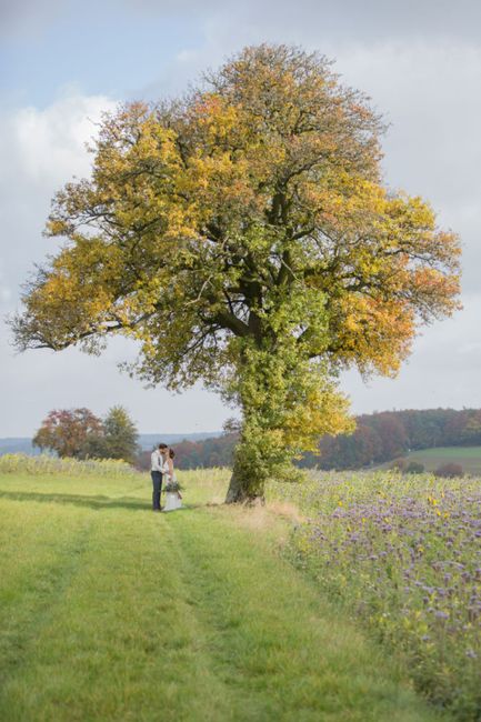 Himmel, Pflanze, Wolke, Ökoregion, Menschen in der Natur, Naturlandschaft, Zweig, Baum, Blume, Sonnenlicht,