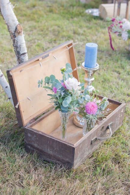 Blume,Pflanze,Lila,Holz,Gras,Bodendecker,Landschaft,Gräserfamilie,Rechteck,Einjährige Pflanze,