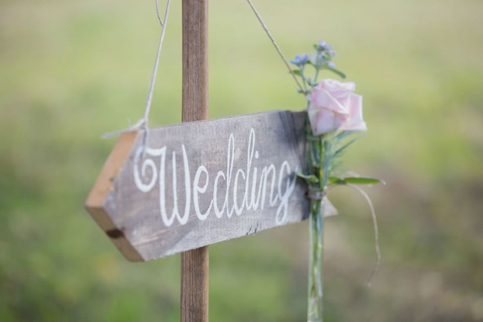 Blume, Pflanze, Handschrift, Gras, Holz, Blütenblatt, Schrift, Rechteck, Rose, Landschaft,