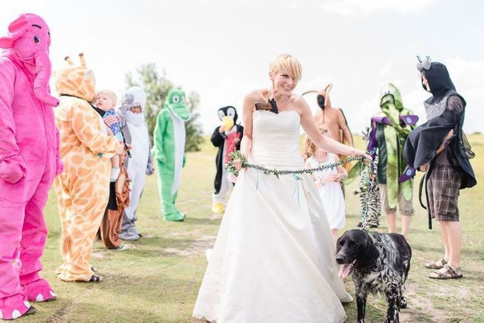 Hund,Braut,Hochzeitskleid,Kleid,Pflanze,Glücklich,Fleischfresser,Gras,Spaß,Brautkleidung,