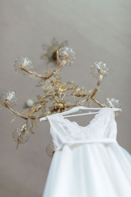 Kleidung,Pflanze,Verzierung,Einteiliges Kleidungsstück,Ärmel,Kleid,Hochzeitskleid,Tageskleid,Brautaccessoire,Modedesign,