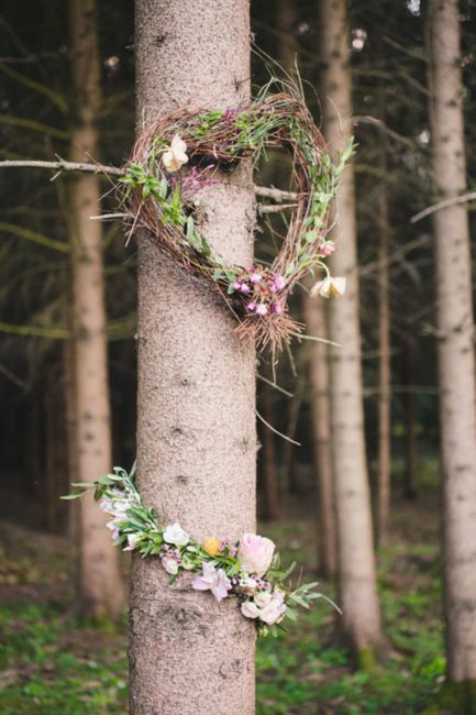 Pflanze, Natur, Blatt, Blume, natürliche Umgebung, Holz, Ast, Zweig, Stamm, Baum,