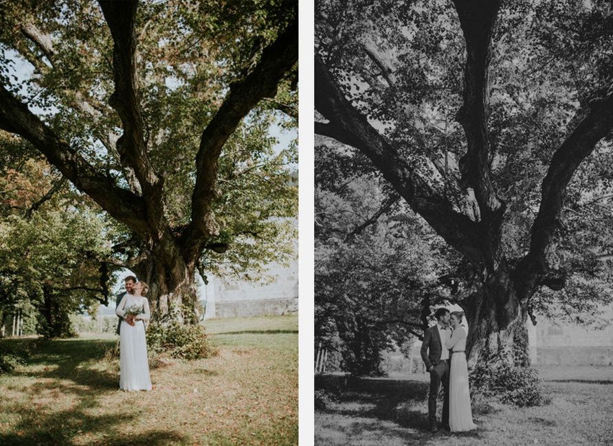 Pflanze,Weiß,Kleid,Menschen in der Natur,Blatt,Natur,Baum,Botanik,Ast,Stehend,