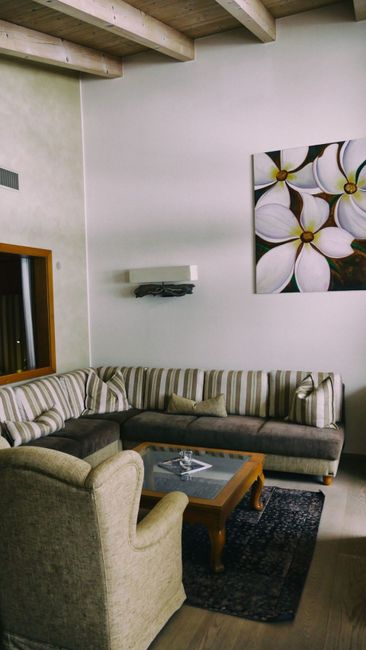 Möbel,Couch,Objekt,Tisch,Bilderrahmen,Pflanze,Holz,Innenarchitektur,Komfort,Wohnzimmer,