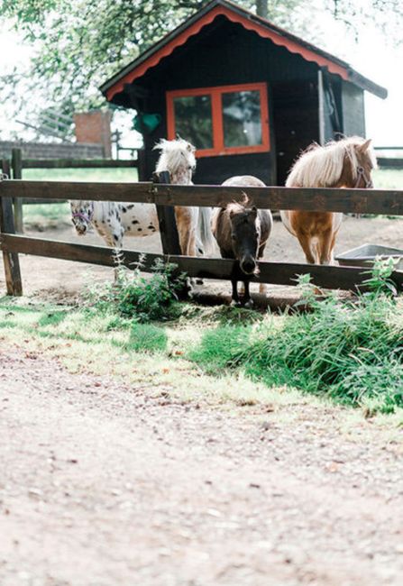 vera_doepcke_vintage 029