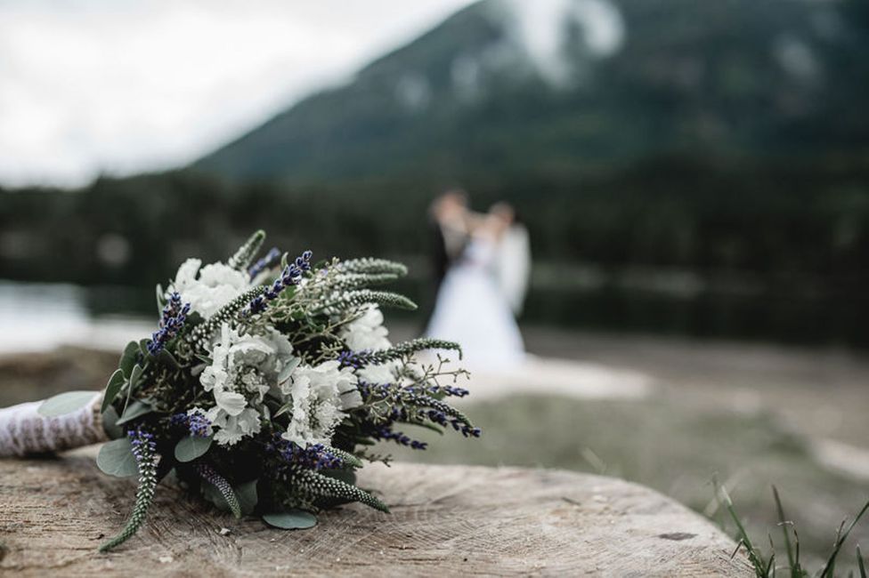 Blume,Pflanze,Braut,Kleid,Flash-Fotografie,Hochzeitskleid,Blütenblatt,Glücklich,Hochzeitsfeier Versorgung,Berg,